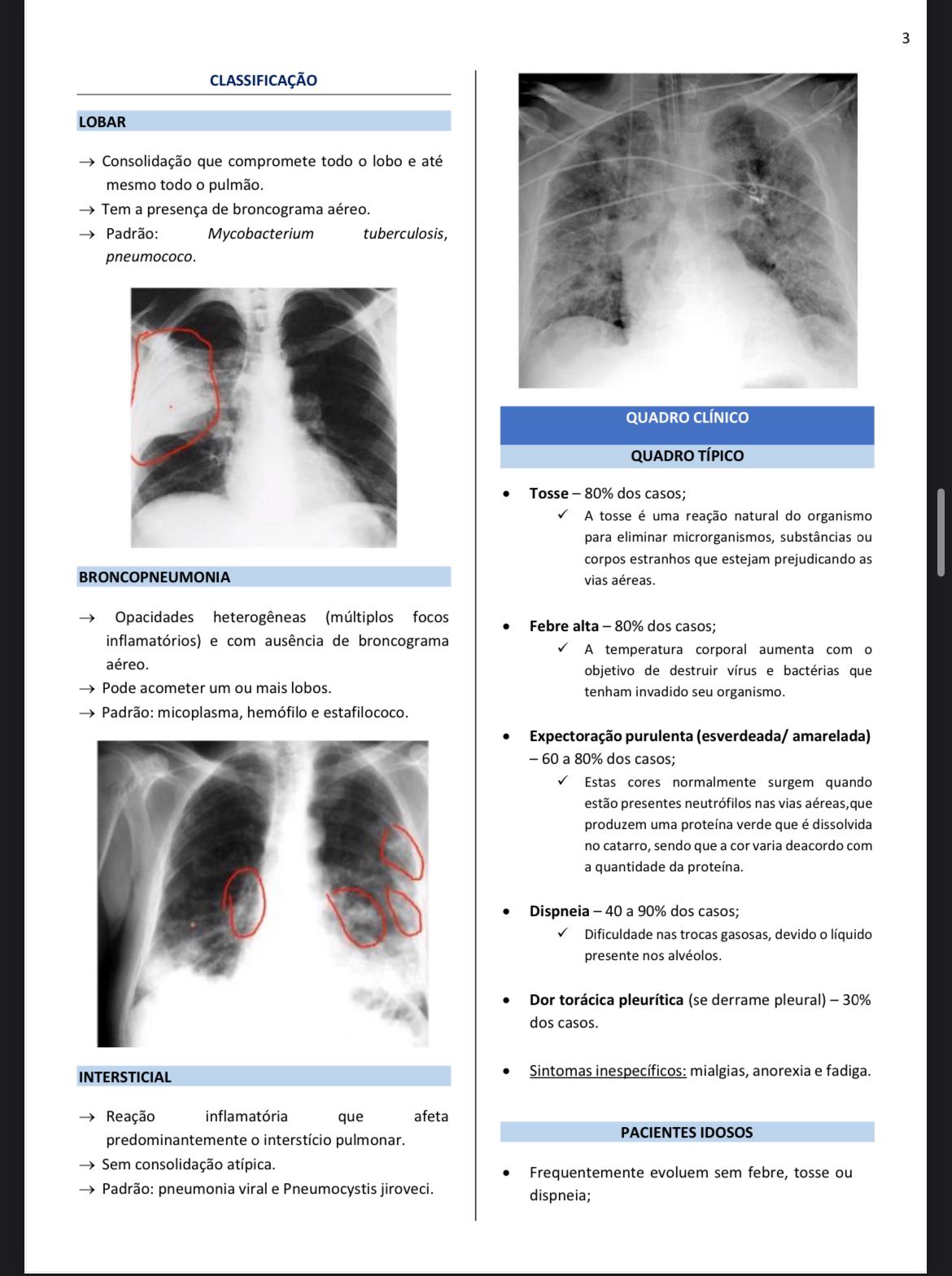 WhatsApp Image 2026-02-02 at 21.27.16 (2)