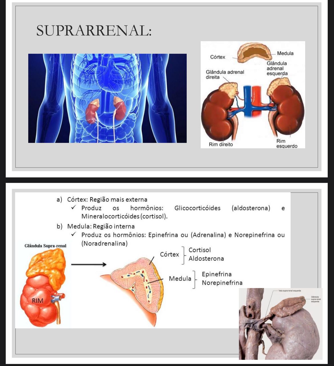 WhatsApp Image 2026-02-02 at 21.27.16